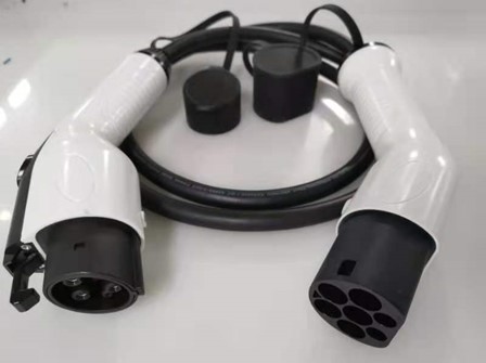 Type 1 → Type 2 Cable